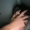 Levi Buchanan - @levibuchanan4 - TikTok
