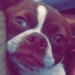 Levi Burchett Trent - @leviburchetttrent - Instagram