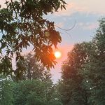 Levi Burnett - @levi.burnett5 - Instagram