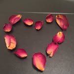 Levi Burnett - @senor_peanut - Instagram