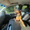 Levi Burnett - @levi.burnett2 - TikTok