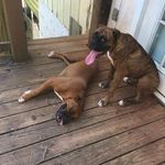 Levi Butt - @levicbutt - Instagram