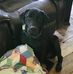 Levi Buttree - Facebook