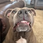Levi Cabrera - @levi_capybaraa - Instagram