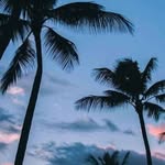 Levi Marroquin - @levi_cabrera15 - Instagram