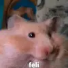 Levi Calderon Bautista - @levicalderonbauti - TikTok