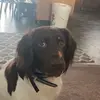 levi_cave907 - @levi_cave907 - TikTok