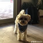 Levi chambers - @levi.chambers69 - Instagram