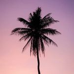 Levi Clayton - @levi.conductor.737 - Instagram