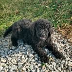Levi Clemons - Facebook