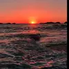levicohen210 - @levicohen2102 - TikTok