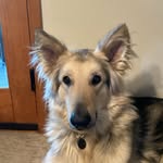 Levi Conway - @levi_conway_ - Instagram
