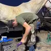 Levi Cunningham - @levicunningham65 - TikTok