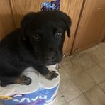 Levi Curtis - Facebook