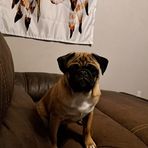 Levi Curtis - Facebook