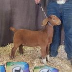 Levi Dale - Facebook