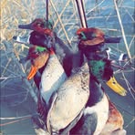 Levi Dawson - Facebook