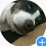 Levi - @levi.dawson2 - Instagram