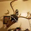 Levi Dillon - @levi.dillon8 - TikTok
