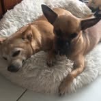 Levi Donovan - Facebook