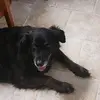 Levi Donovan - @levi.donovan - TikTok