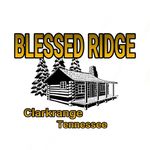 levi dotson - @blessedridgehomestead - Instagram