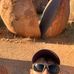 Levi Ellis - Facebook