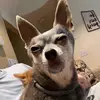 leviticusEngle - @leviticusengle - TikTok