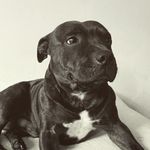 levi feeney - @levi.f145 - Instagram