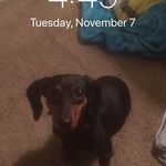 Levi Feeney - @levi.feeney - Instagram