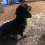 Levi Feeney - @duh_its_levi10 - Instagram