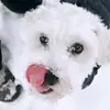 Fellnase_Levi - @fellnase_levi - TikTok