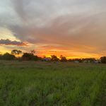 Levi ferguson - @levi.ferguson2011 - Instagram