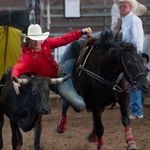 Levi Guthrie Ferguson - @levi_wayne33 - Instagram