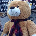 Levi Alexander Ford - @levi_ford - Instagram