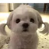 levi.ford - @levi.ford - TikTok