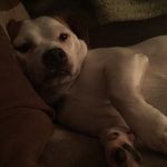Levi Franklin - @levifranklin18 - Instagram