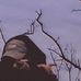 Levi Franklin - Facebook