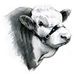 Levi Gomez - Facebook