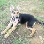 Levi Goode - Facebook