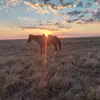 Levi Goode - @levi.goode - TikTok