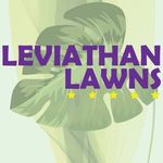 Levi Gordon - @leviathan_lawns - Instagram