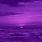 Levi Gregg - @littlebuddylevi - Instagram