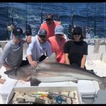 Levi Hagerdon - @levi_hagerdon - Instagram