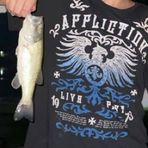 Levi Hale - Facebook