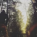 Levi Hall - @levi.hall37 - Instagram