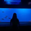 Levi Hall - @levi.hall81 - TikTok