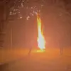 levihall2783 - @levihall2783 - TikTok