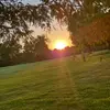 Levi Hammonds - @levi.hammonds6 - TikTok
