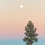 Levi Hammons - @levi._.h - Instagram